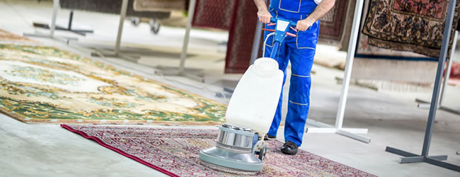 Koel inhalen radiator Tapijtreiniging & tapijt reinigen door schoonmaakbedrijven -  SchoonmaakKosten.be